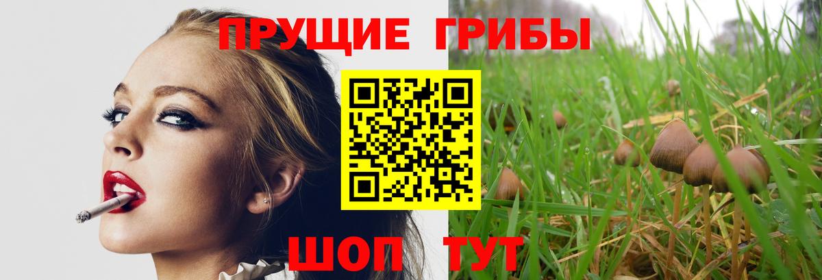 Галлюциногенные грибы Psilocybine cubensis  Галлюциногенные грибы Psilocybine cubensis  Вход с VPN  Избербаш 